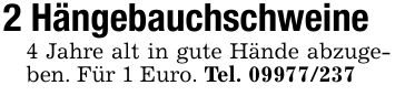 2 Hängebauchschweine4 Jahre alt in gute Hände abzugeben. Für 1 Euro. Tel. ***