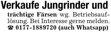 Verkaufe Jungrinder undträchtige Färsen wg. Betriebsauflösung. Bei Interesse gerne melden._ *** (auch Whatsapp)