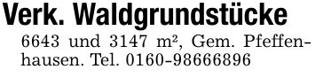 Verk. Waldgrundstücke 6643 und 3147 m², Gem. Pfeffenhausen. Tel. ***