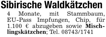 Sibirische Waldkätzchen4 Monate, mit Stammbaum, EU-Pass Impfungen, Chip, für 1.100 € abzugeben sowie Mischlingskätzchen; Tel. ***