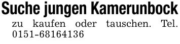Suche jungen Kamerunbockzu kaufen oder tauschen. Tel. ***