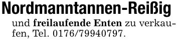 Nordmanntannen-Reißigund freilaufende Enten zu verkaufen, Tel. ***.