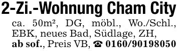 2-Zi.-Wohnung Cham Cityca. 50m², DG, möbl., Wo./Schl., EBK, neues Bad, Südlage, ZH, ab sof., Preis VB, _ ***