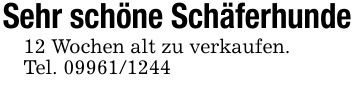 Sehr schöne Schäferhunde12 Wochen alt zu verkaufen.Tel. ***