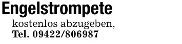 Engelstrompetekostenlos abzugeben,Tel. ***