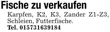 Fische zu verkaufenKarpfen, K2, K3, Zander Z1-Z3, Schleien, Futterfische.Tel. ***
