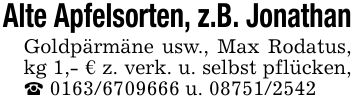 Alte Apfelsorten, z.B. JonathanGoldpärmäne usw., Max Rodatus, kg 1,- € z. verk. u. selbst pflücken, _ *** u. ***