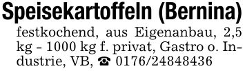 Speisekartoffeln (Bernina)festkochend, aus Eigenanbau, 2,5 kg - 1000 kg f. privat, Gastro o. Industrie, VB, _ ***