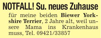 NOTFALL! Su. neues Zuhausefür meine beiden Biewer Yorkshire Terrier, 2 Jahre alt, weil unsere Mama ins Krankenhaus muss, Tel. ***