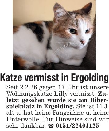 Katze vermisst in ErgoldingSeit 2.2.26 gegen 17 Uhr ist unsere Wohnungskatze Lilly vermisst. Zuletzt gesehen wurde sie am Biberspielplatz in Ergolding. Sie ist 11 J. alt u. hat keine Fangzähne u. keine Unterwolle. Für Hinweise sind wir sehr dankbar. _ ***