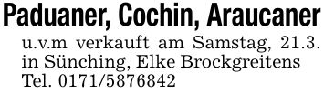Paduaner, Cochin, Araucaneru.v.m verkauft am Samstag, 21.3. in Sünching, Elke BrockgreitensTel. ***