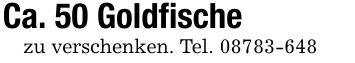 Ca. 50 Goldfischezu verschenken. Tel. ***