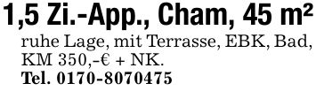 1,5 Zi.-App., Cham, 45 m²ruhe Lage, mit Terrasse, EBK, Bad, KM 350,-€ + NK. Tel. ***