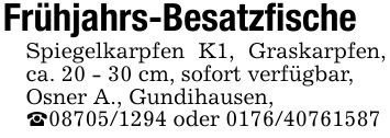 Frühjahrs-BesatzfischeSpiegelkarpfen K1, Graskarpfen, ca. 20 - 30 cm, sofort verfügbar,Osner A., Gundihausen,_*** oder ***