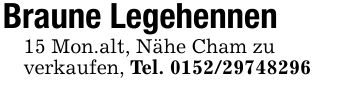 Braune Legehennen 15 Mon.alt, Nähe Cham zu verkaufen, Tel. ***