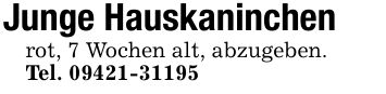 Junge Hauskaninchenrot, 7 Wochen alt, abzugeben.Tel. ***