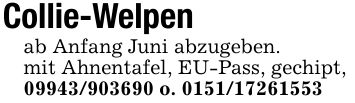 Collie-Welpenab Anfang Juni abzugeben.mit Ahnentafel, EU-Pass, gechipt,*** o. ***