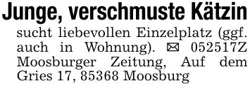 Junge, verschmuste Kätzinsucht liebevollen Einzelplatz (ggf. auch in Wohnung). _ ***Z Moosburger Zeitung, Auf dem Gries 17, 85368 Moosburg