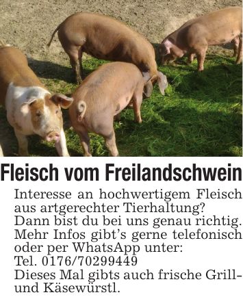 Fleisch vom FreilandschweinInteresse an hochwertigem Fleisch aus artgerechter Tierhaltung?Dann bist du bei uns genau richtig.Mehr Infos gibt's gerne telefonisch oder per WhatsApp unter:Tel. ***Dieses Mal gibts auch frische Grill- und Käsewürstl.