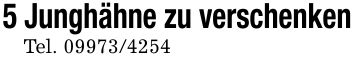5 Junghähne zu verschenkenTel. ***