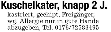 Kuschelkater, knapp 2 J.kastriert, gechipt, Freigänger,wg. Allergie nur in gute Händeabzugeben, Tel. ***