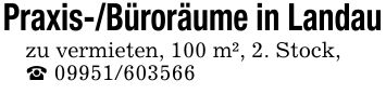 Praxis-/Büroräume in Landauzu vermieten, 100 m², 2. Stock,_ ***
