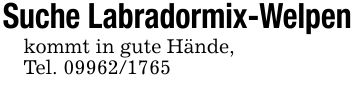 Suche Labradormix-Welpenkommt in gute Hände,Tel. ***