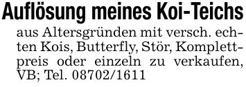 Auflösung meines Koi-Teichsaus Altersgründen mit versch. echten Kois, Butterfly, Stör, Komplettpreis oder einzeln zu verkaufen, VB; Tel. ***