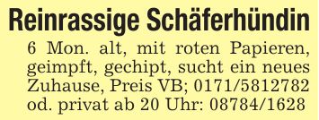 Reinrassige Schäferhündin6 Mon. alt, mit roten Papieren, geimpft, gechipt, sucht ein neues Zuhause, Preis VB; *** od. privat ab 20 Uhr: ***