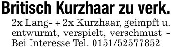 Britisch Kurzhaar zu verk.2x Lang- + 2x Kurzhaar, geimpft u. entwurmt, verspielt, verschmust - Bei Interesse Tel. ***