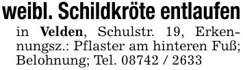 weibl. Schildkröte entlaufenin Velden, Schulstr. 19, Erkennungsz.: Pflaster am hinteren Fuß; Belohnung; Tel. ***
