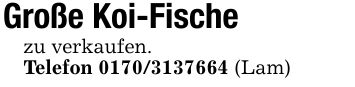 Große Koi-Fischezu verkaufen.Telefon *** (Lam)