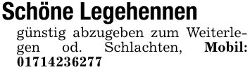 Schöne Legehennengünstig abzugeben zum Weiterlegen od. Schlachten, Mobil: ***