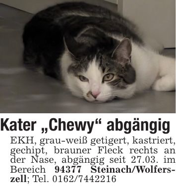 Kater 