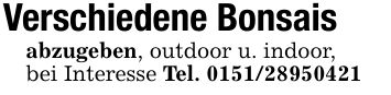 Verschiedene Bonsais abzugeben, outdoor u. indoor,bei Interesse Tel. ***