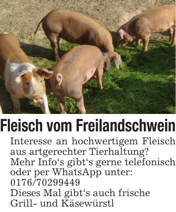 Fleisch vom FreilandschweinInteresse an hochwertigem Fleisch aus artgerechter Tierhaltung?Mehr Info's gibt's gerne telefonisch oder per WhatsApp unter:***Dieses Mal gibt's auch frischeGrill- und Käsewürstl