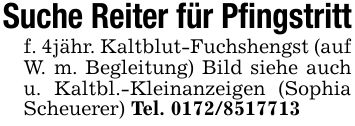 Suche Reiter für Pfingstrittf. 4jähr. Kaltblut-Fuchshengst (auf W. m. Begleitung) Bild siehe auch u. Kaltbl.-Kleinanzeigen (Sophia Scheuerer) Tel. ***