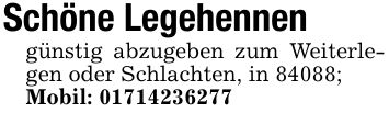 Schöne Legehennengünstig abzugeben zum Weiterlegen oder Schlachten, in 84088;Mobil: ***
