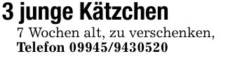 3 junge Kätzchen 7 Wochen alt, zu verschenken, Telefon ***