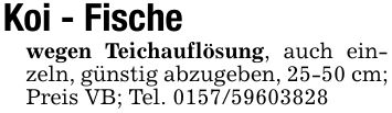 Koi - Fischewegen Teichauflösung, auch einzeln, günstig abzugeben, 25-50 cm; Preis VB; Tel. ***