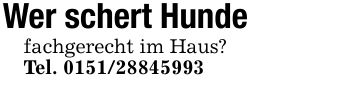 Wer schert Hundefachgerecht im Haus?Tel. ***