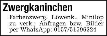 ZwergkaninchenFarbenzwerg, Löwenk., Minilop zu verk.; Anfragen bzw. Bilder per WhatsApp: ***