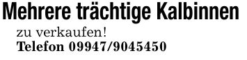 Mehrere trächtige Kalbinnen zu verkaufen!Telefon ***