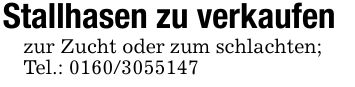 Stallhasen zu verkaufenzur Zucht oder zum schlachten;Tel.: ***