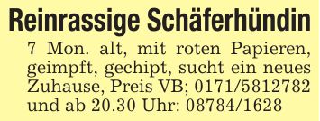 Reinrassige Schäferhündin7 Mon. alt, mit roten Papieren, geimpft, gechipt, sucht ein neues Zuhause, Preis VB; *** und ab 20.30 Uhr: ***