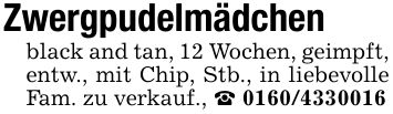 Zwergpudelmädchenblack and tan, 12 Wochen, geimpft, entw., mit Chip, Stb., in liebevolle Fam. zu verkauf., _ ***
