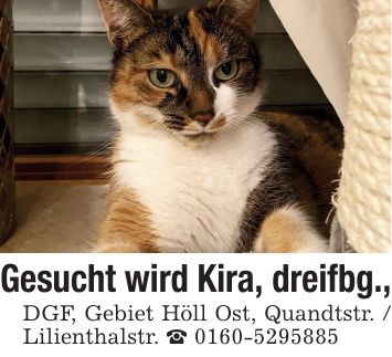 Gesucht wird Kira, dreifbg., DGF, Gebiet Höll Ost, Quandtstr. / Lilienthalstr. _ ***