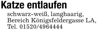 Katze entlaufenschwarz-weiß, langhaarig,Bereich Königsfeldergasse LA,Tel. ***