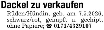 Dackel zu verkaufenRüden/Hündin, geb. am 7.5.2026, schwarz/rot, geimpft u. gechipt, ohne Papiere; _ ***