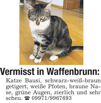 Vermisst in Waffenbrunn: Katze Bausi, schwarz-weiß-braun getigert, weiße Pfoten, braune Nase, grüne Augen, zierlich und sehr scheu. _ ***